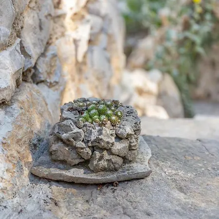 Prázdninový dům Rustica House