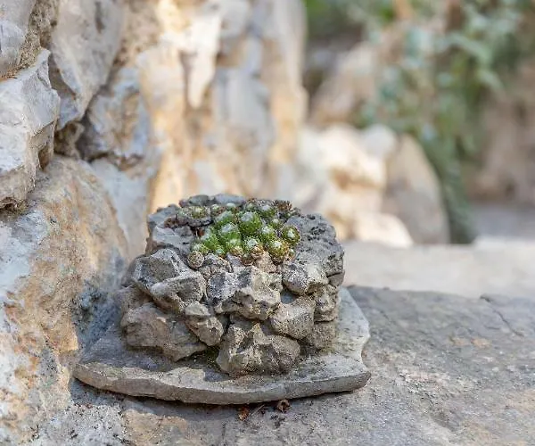 Ferienhaus Rustica House