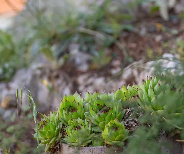 Ferienhaus Rustica House Skradin